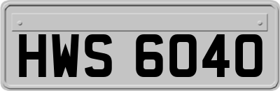 HWS6040