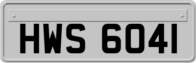 HWS6041