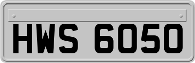 HWS6050