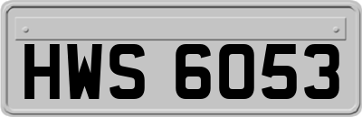 HWS6053