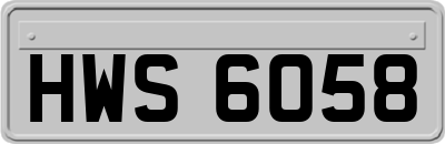 HWS6058