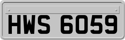 HWS6059