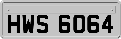 HWS6064
