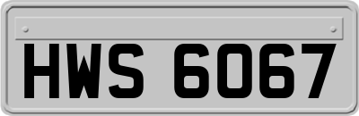 HWS6067