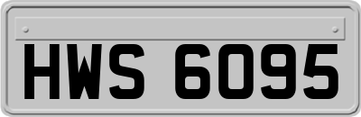 HWS6095