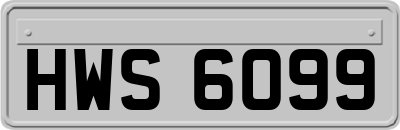 HWS6099
