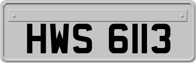 HWS6113
