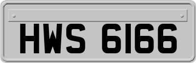 HWS6166