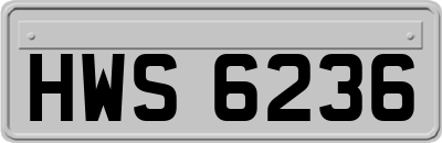 HWS6236