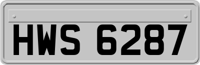 HWS6287
