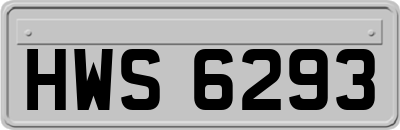 HWS6293