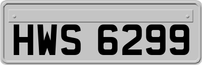 HWS6299