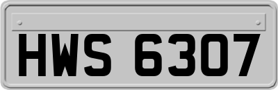 HWS6307