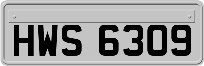 HWS6309