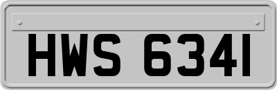 HWS6341