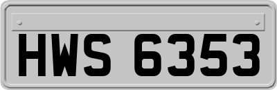 HWS6353