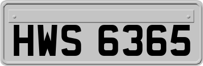 HWS6365