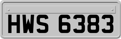 HWS6383