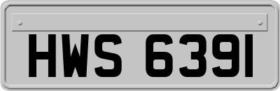 HWS6391