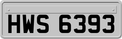 HWS6393