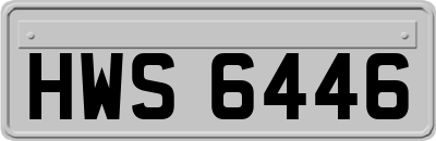 HWS6446