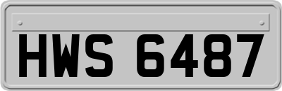 HWS6487