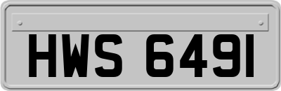 HWS6491