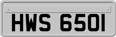 HWS6501