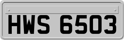 HWS6503