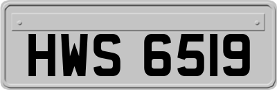 HWS6519