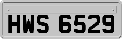 HWS6529
