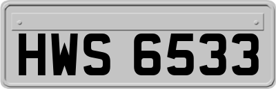 HWS6533