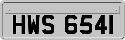 HWS6541