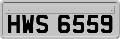 HWS6559