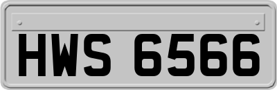 HWS6566