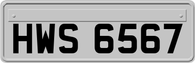HWS6567