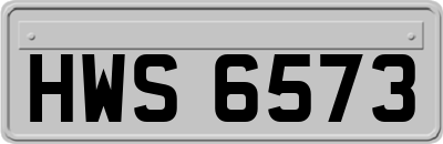 HWS6573