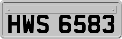 HWS6583