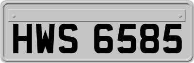 HWS6585