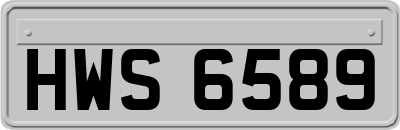 HWS6589