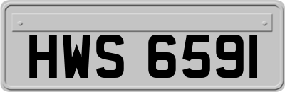 HWS6591