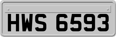 HWS6593