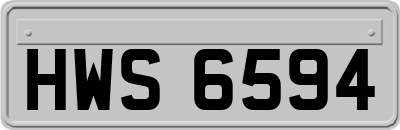 HWS6594