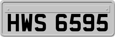 HWS6595