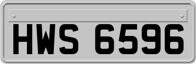 HWS6596