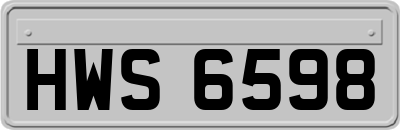 HWS6598