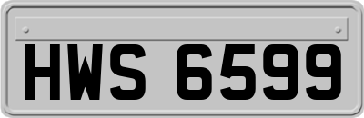 HWS6599