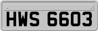 HWS6603