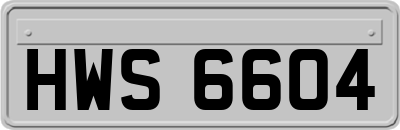 HWS6604