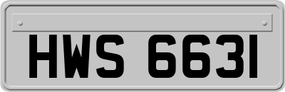 HWS6631